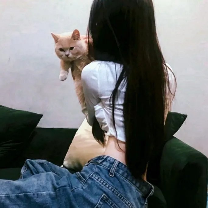 绿箭侠第四季